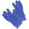 Nitrile Gloves in Large Zip Bag, 1 Pair