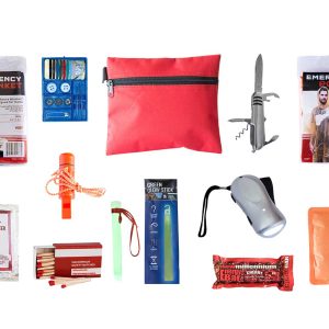 Mini Emergency Kit